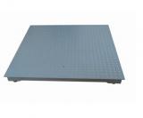 Y Series Mild Steel Floor Scale